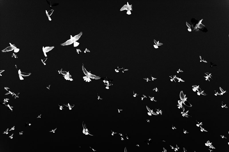 Metaphysiscs Photo